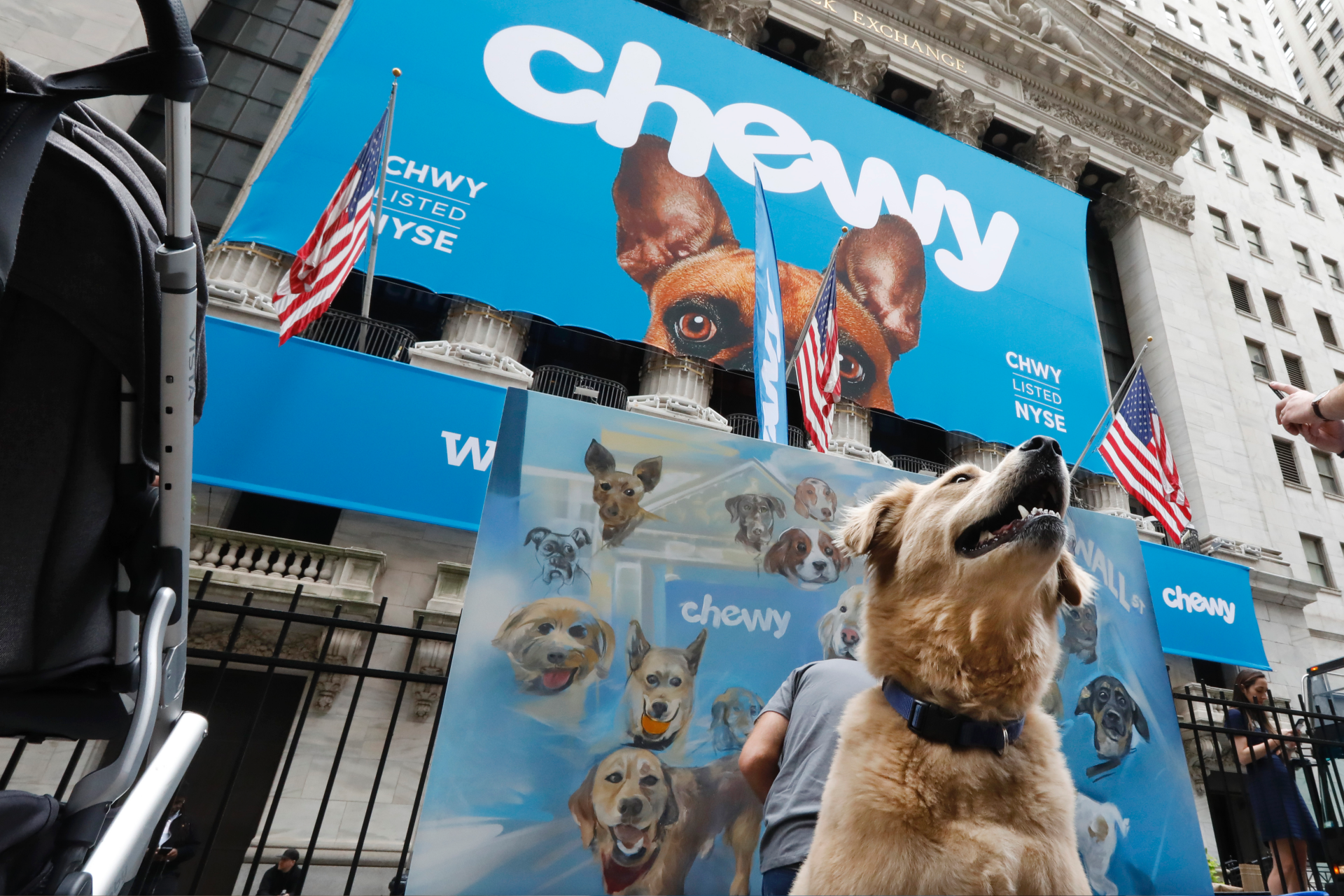 Top dog: Shares of online pet store Chewy soar in debut | Fox Business