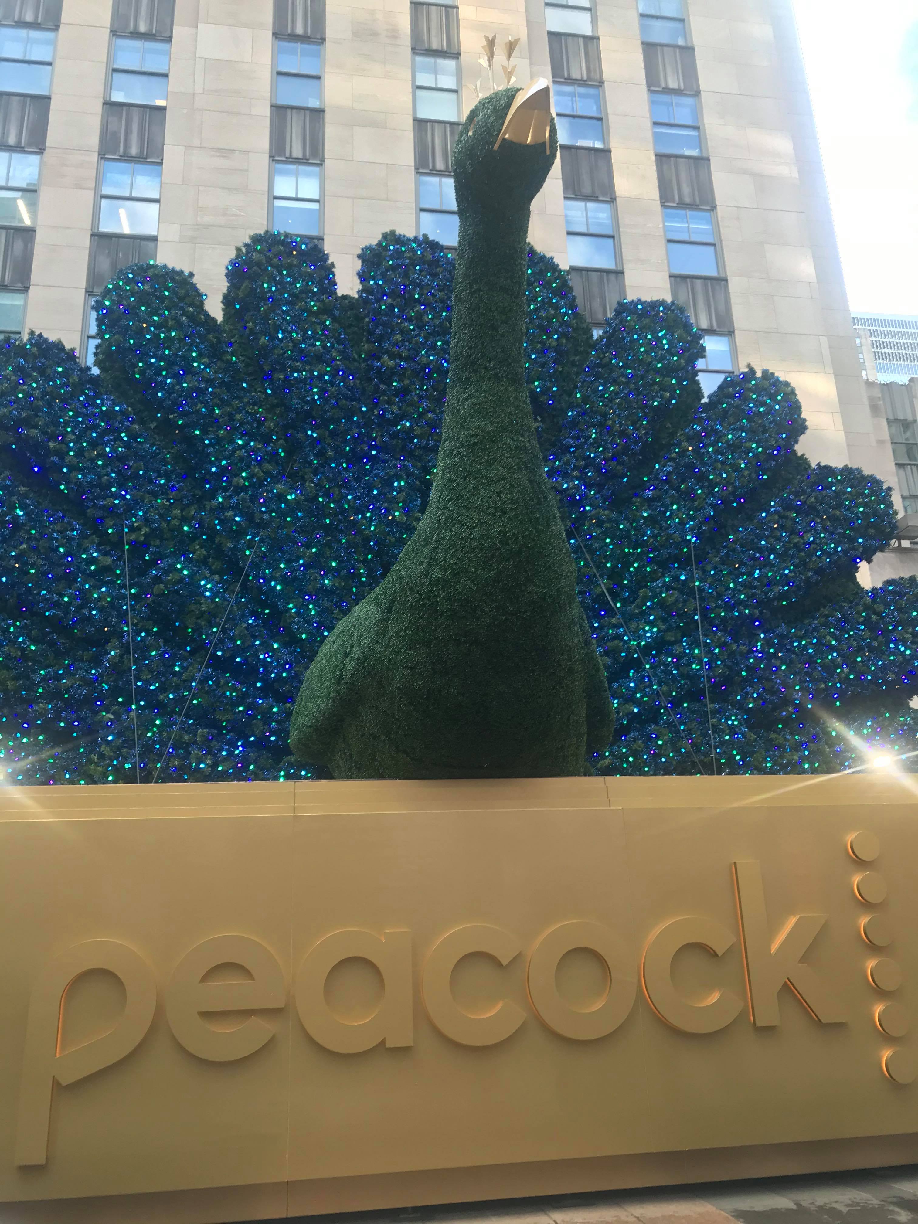 NBCUniversal's Peacock streaming service to preview for investors