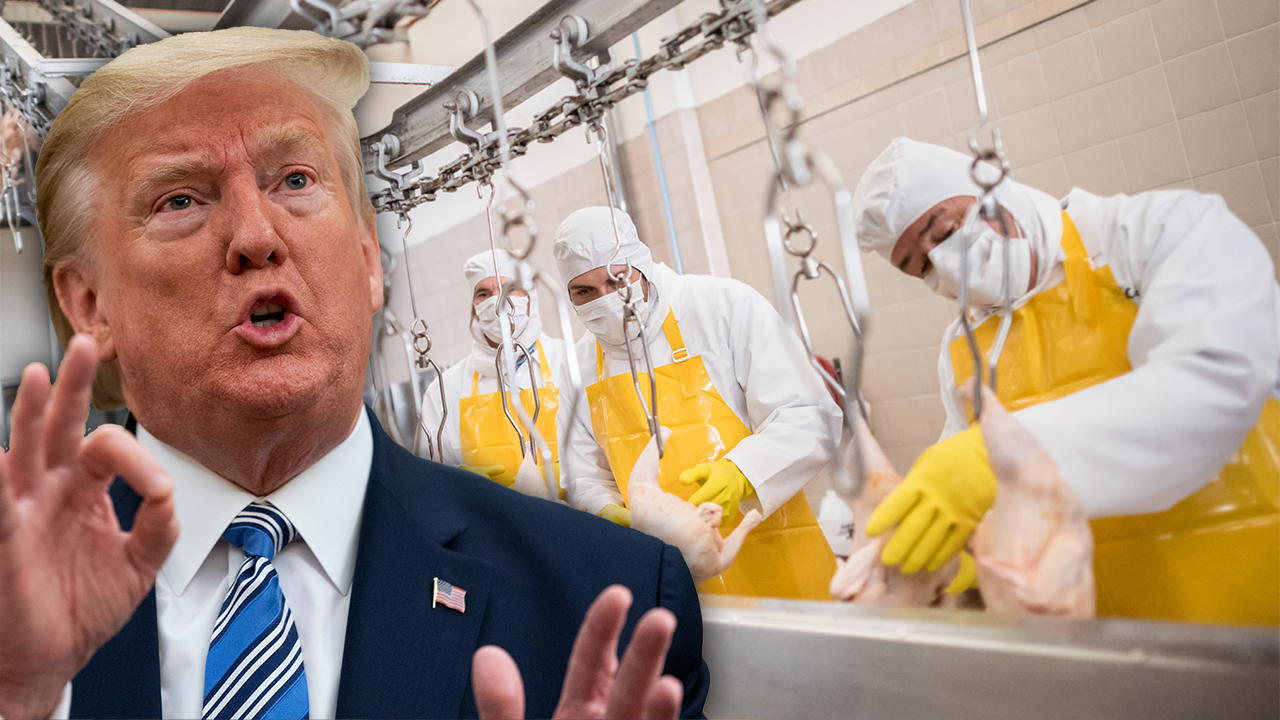 Trending FOX BUSINESS News: Trump to order meat processing plants to stay open as coronavirus ravages supply Trending FOX BUSINESS News: Trump to order meat processing plants to stay open as coronavirus ravages supply
