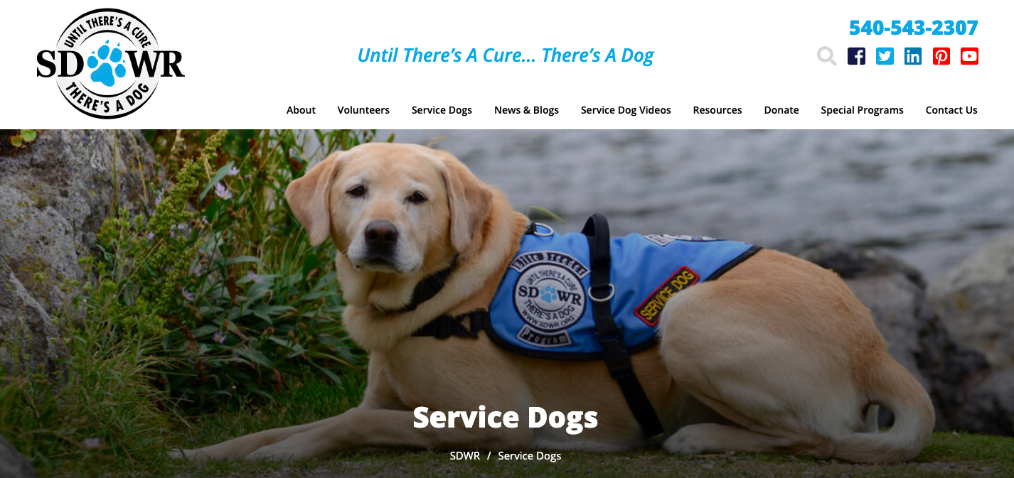 can you donate a dog to be a service dog