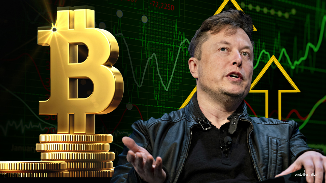 Elon Musk backs Bitcoin, talks crypto future | Fox Business