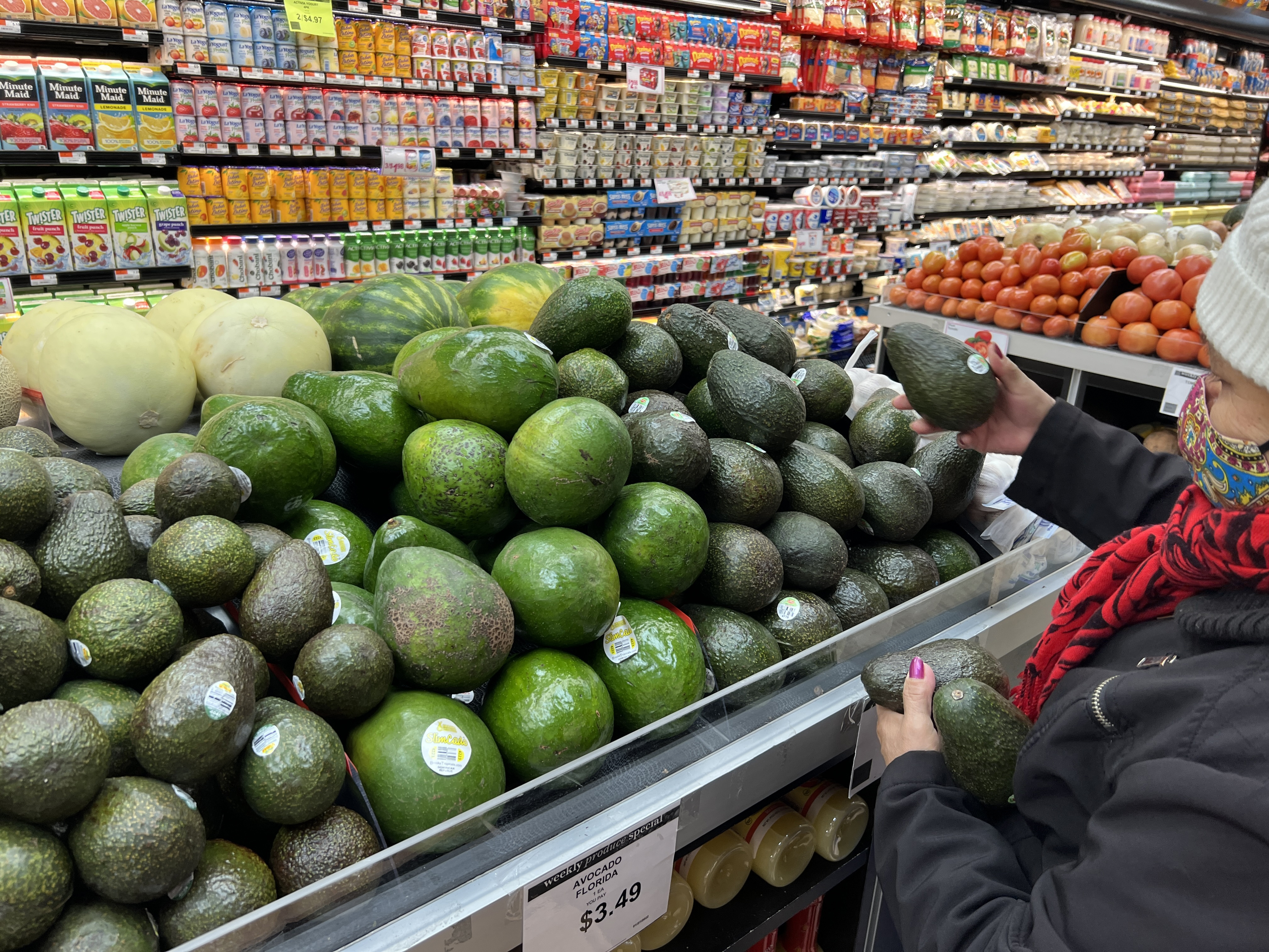 Current Situation of the Fresh Avocado Market in the US