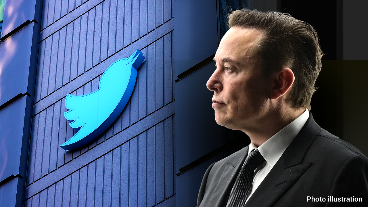 Elon Musk would do a 'ton' better at making Twitter pro-free speech, leftists are 'terrified' of that: expert | Fox Business
