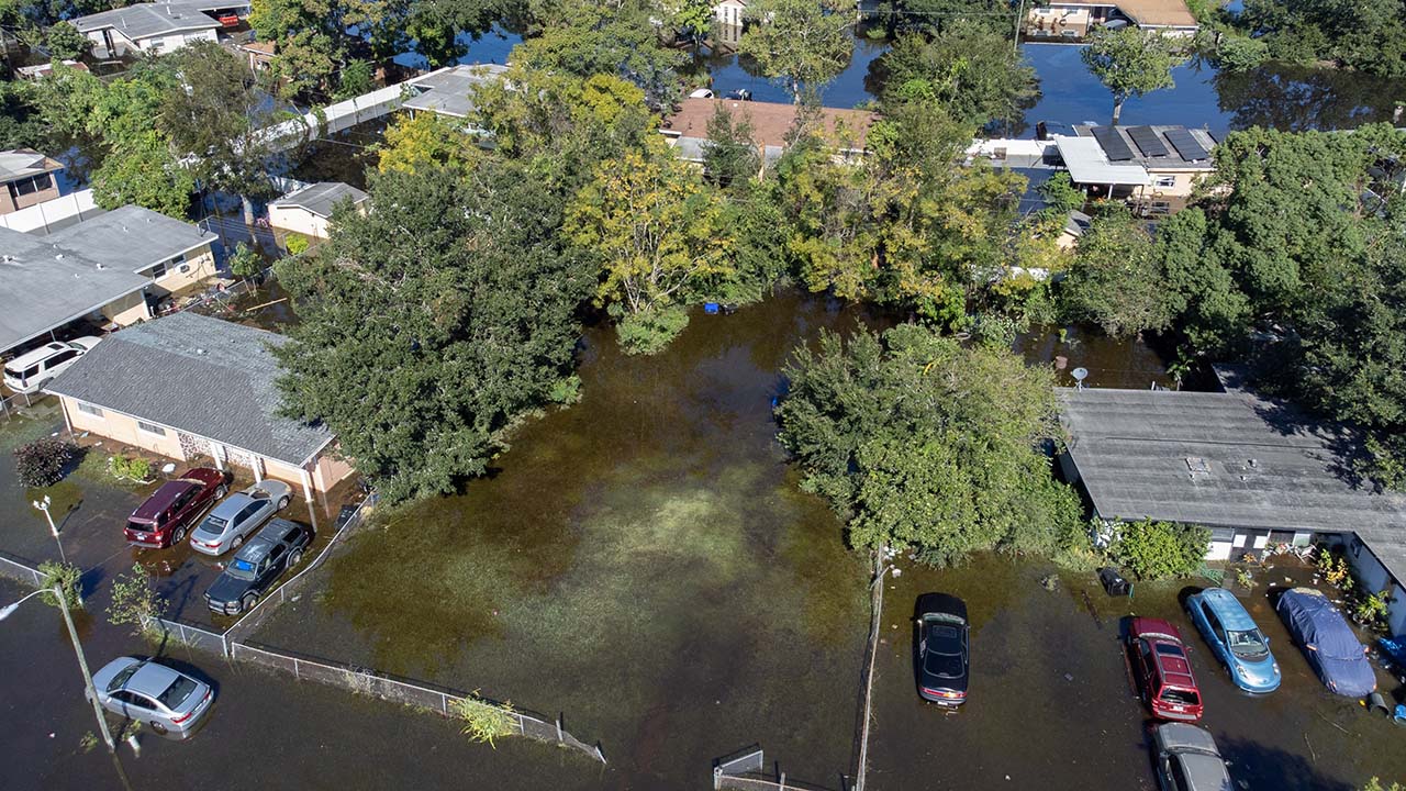 Shoreline Area News: Scam Alert: Flood-damaged cars could be for