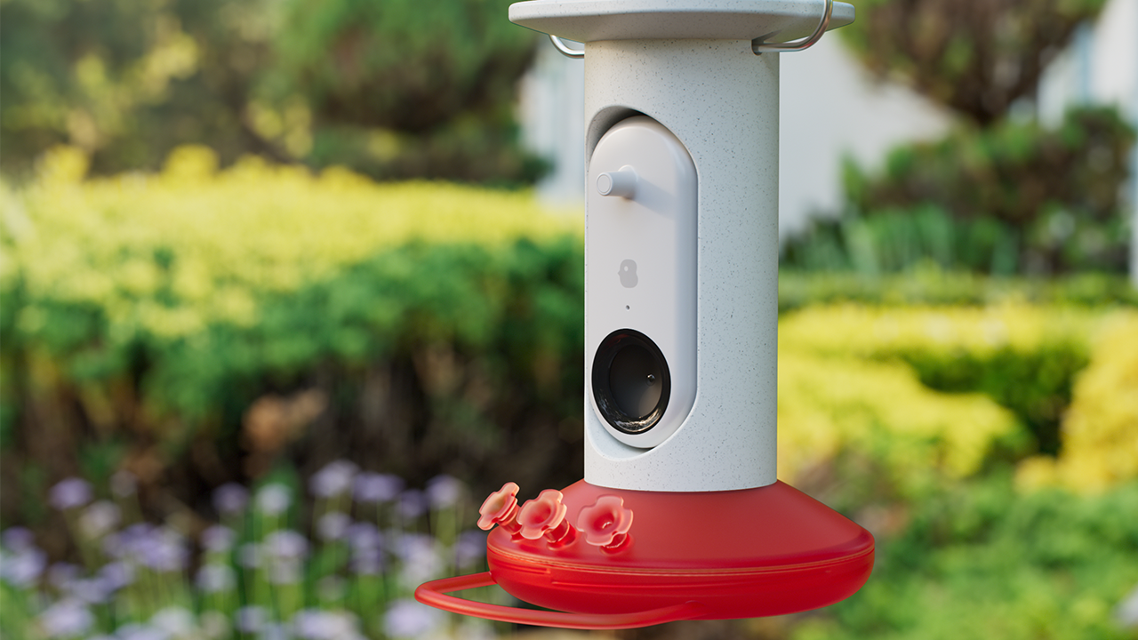 AI-powered bird feeder takes candid pics, identifies our feathered friends  as they snack