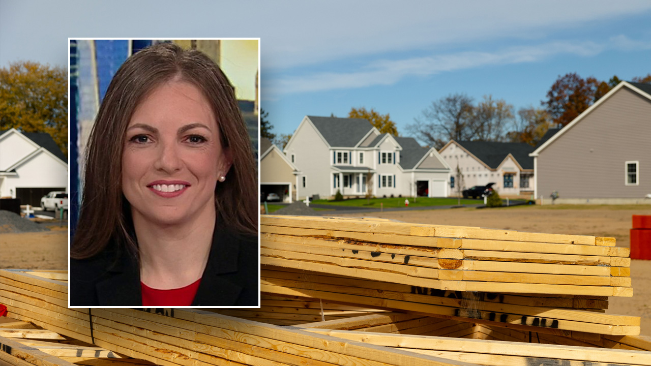 US housing market has 'big hole' to dig out of, Realtor.com chief economist says