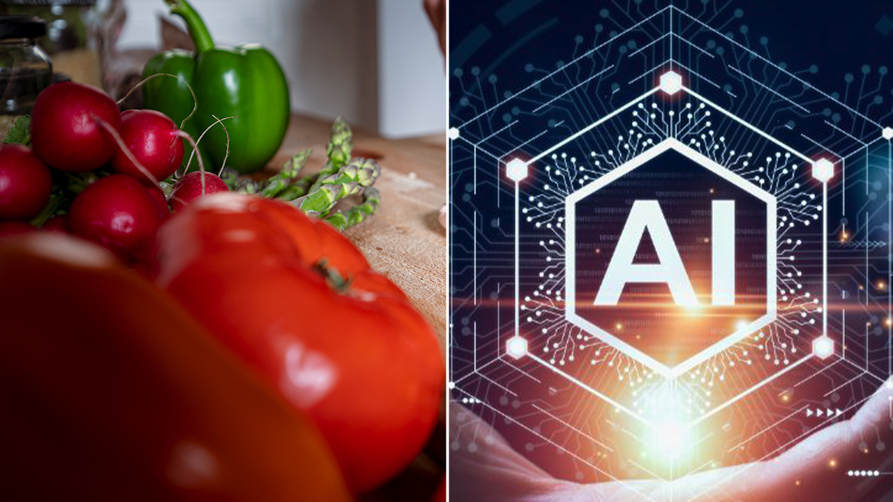 Health experts raise concerns over AI apps claiming to be pocket nutrition  assistants | Fox Business