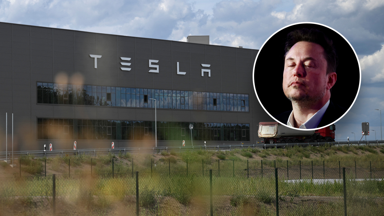 Musk rips purported eco-terrorists for suspected arson at Tesla Gigafactory: 'Extremely dumb'