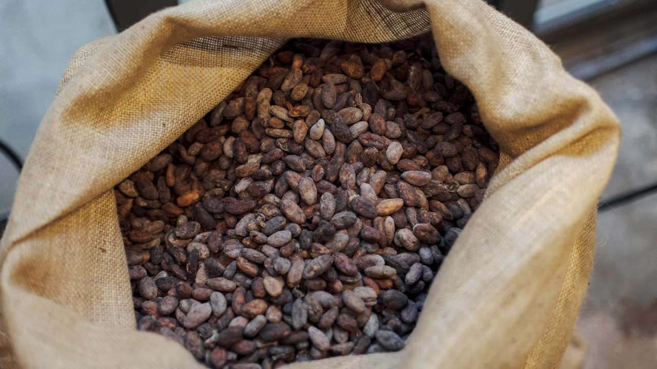 Cocoa prices continue to spike: What's driving costs higher?