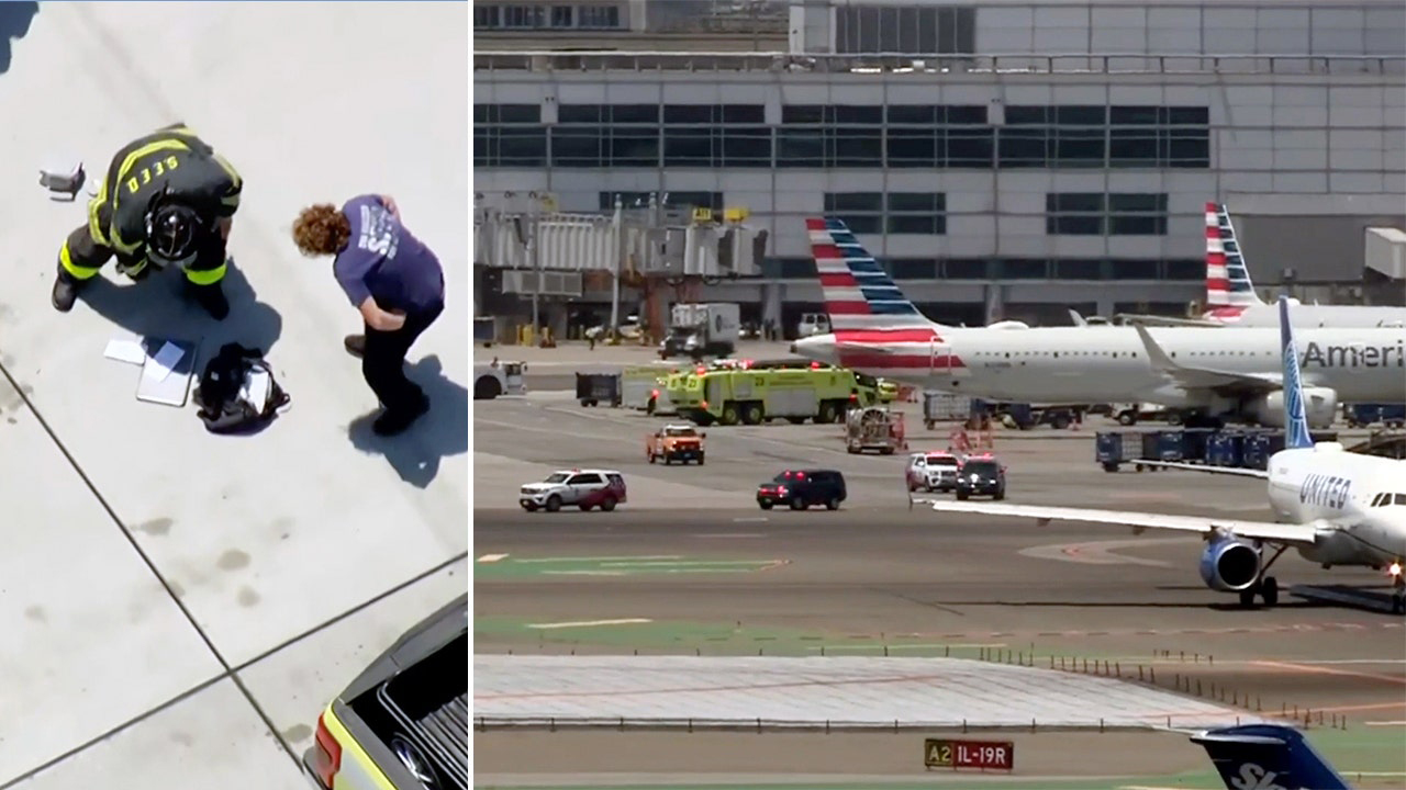 American Airlines passengers stop to grab carry-ons during evacuation, despite orders to 'leave everything'
