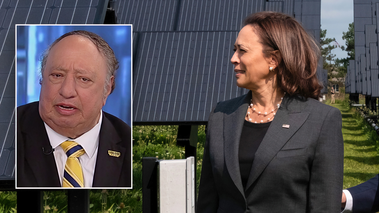 Billionaire oil CEO says Democrats are ‘starting to recognize’ the green energy push is ‘all a fallacy’