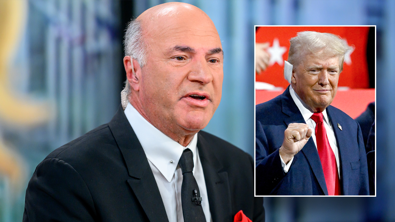 'Shark Tank' star explains why CEOs and business leaders see Trump as the 'better' option