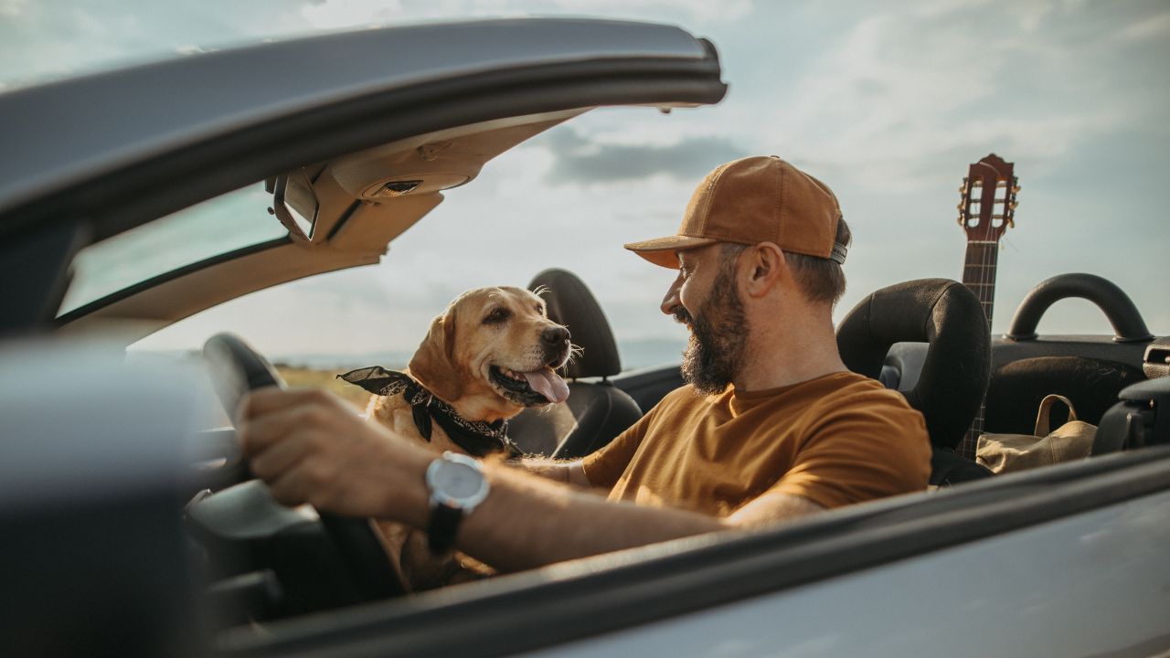 BarkBox CEO Matt Meeker discusses his concept of pet-friendly travel for dogs on Varney & Co.