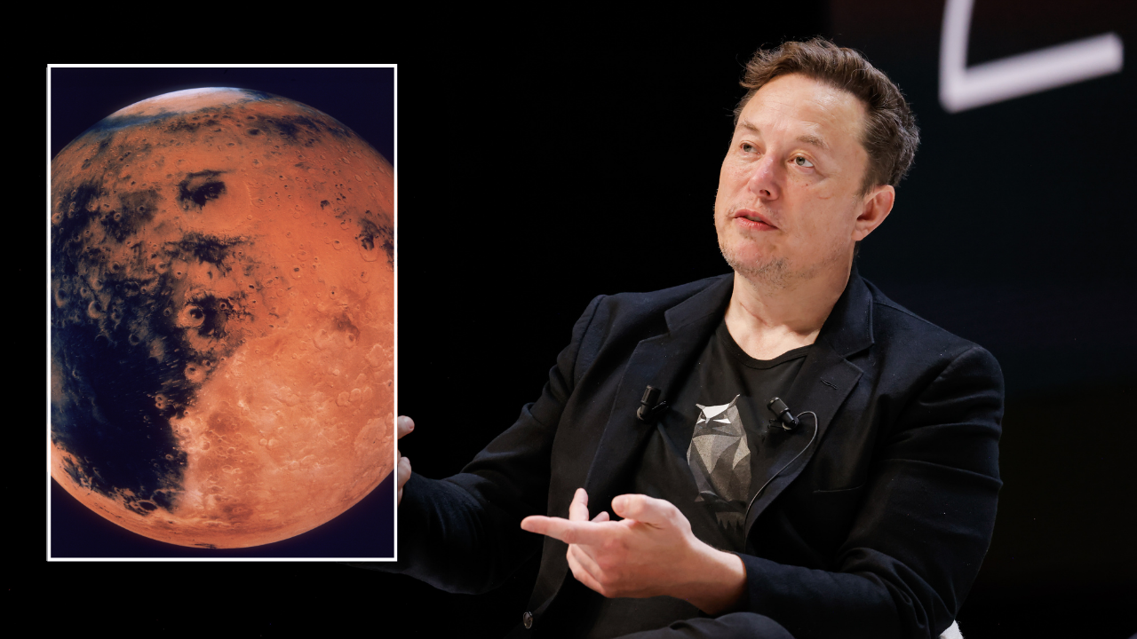 foxbusiness.com - Andrea Vacchiano - Elon Musk predicts crewed SpaceX flights to Mars by 2028, hopes for 'self-sustaining city' on planet