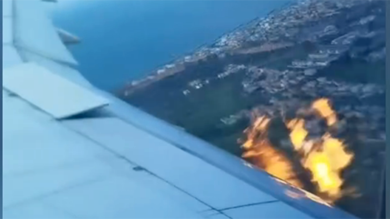 Flames burst from Boeing plane after reported bird strike, video