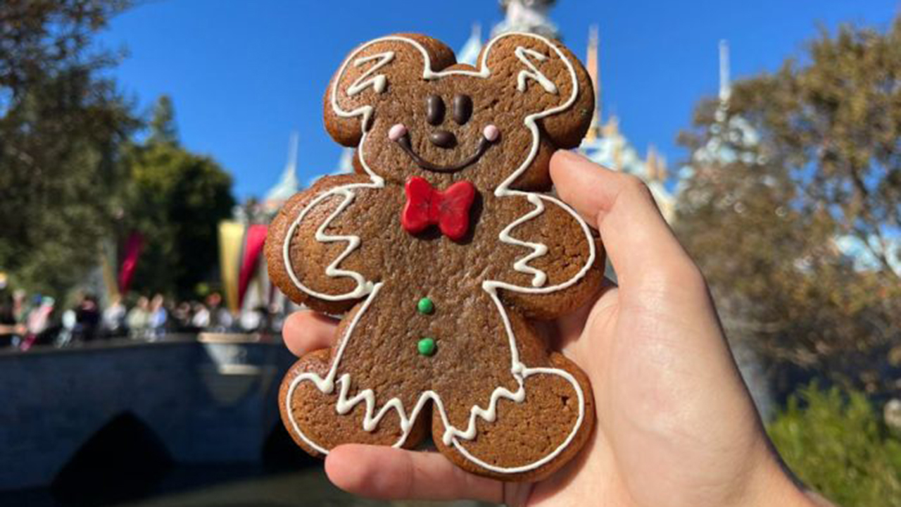 Disneyland places restriction on popular holiday item, as demand