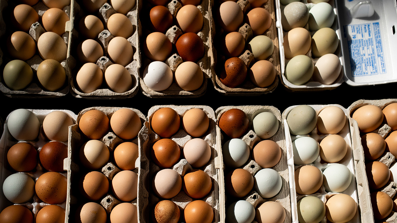 Nearly 2 million egg cartons recalled after salmonella outbreak sickens 79 people in multiple states