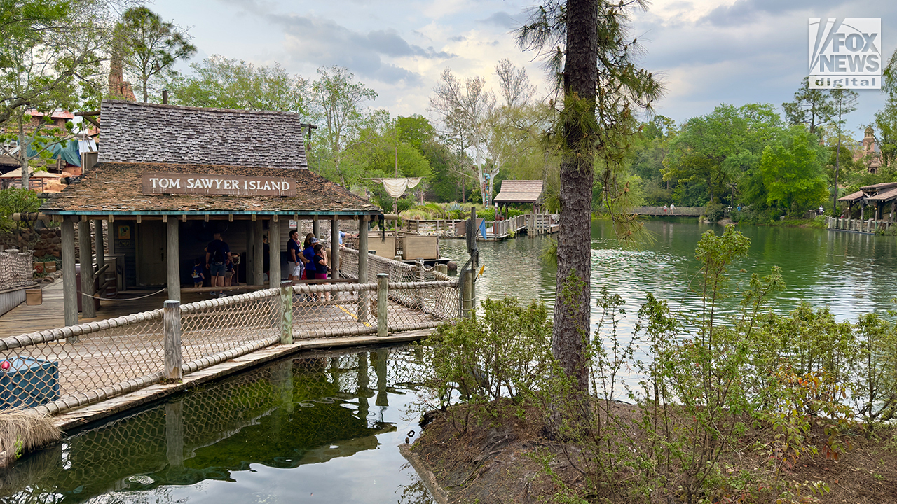 tom-sawyer-island-wdw-bugged.jpg