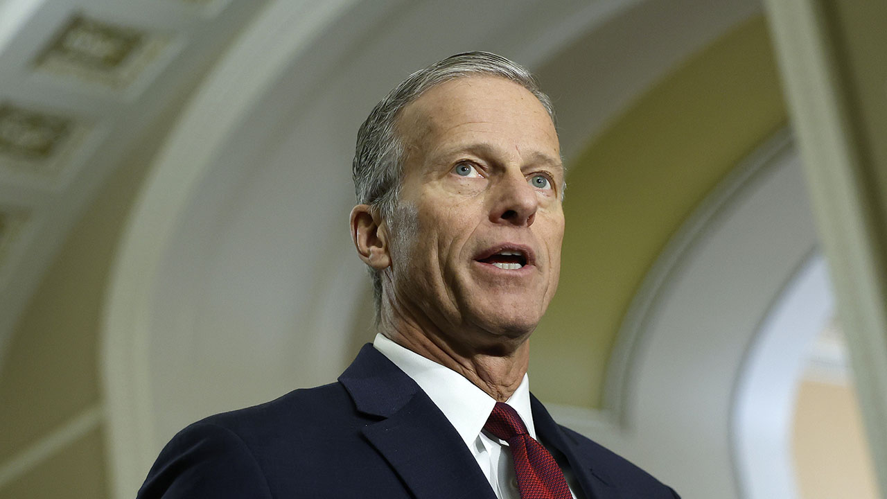 Sen John Thune offers potential solution for NIL reform: 'Like the NFL without a contract'