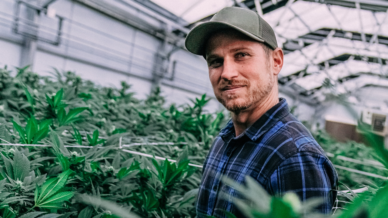 Hemp industry remains in the weeds even after Senate takes loophole closure out of bill