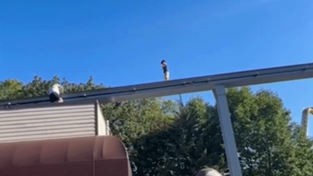 Dramatic video shows boy balancing 100 feet above panicked crowd at Hersheypark