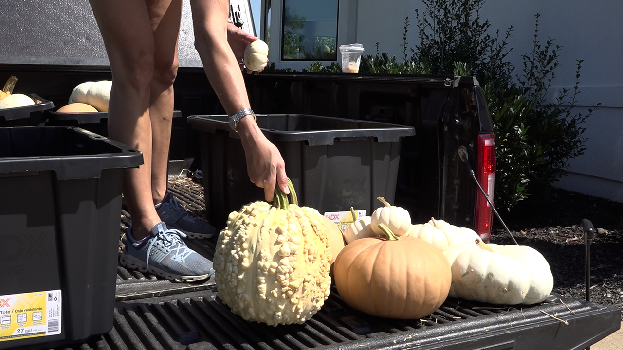 Seasonal porch decorators say business is taking off this year