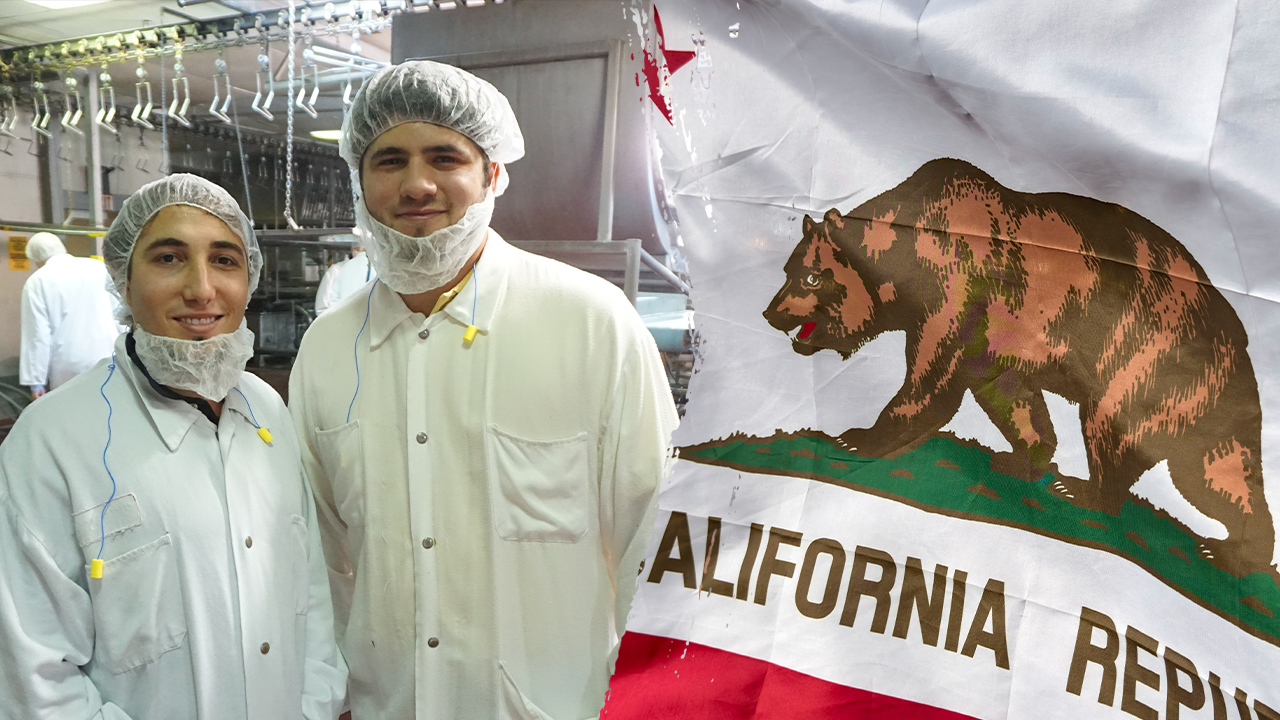 Businessman-turned-gubernatorial candidate reveals how Dem regulations destroyed his family's company