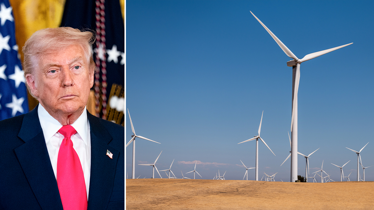 foxbusiness.com - Rachel Wolf - Federal judge strikes down Trump executive order blocking wind energy projects