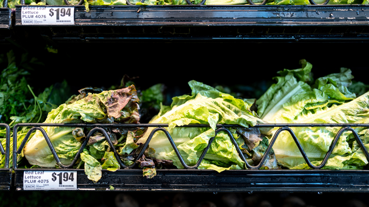 Massive lettuce-linked outbreak expands to 3 more states with over 11,000 illnesses