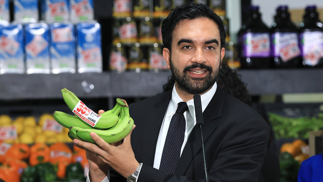 NYC-area chamber of commerce CEO blasts Mamdani grocery plan as 'disastrous' amid legal fight